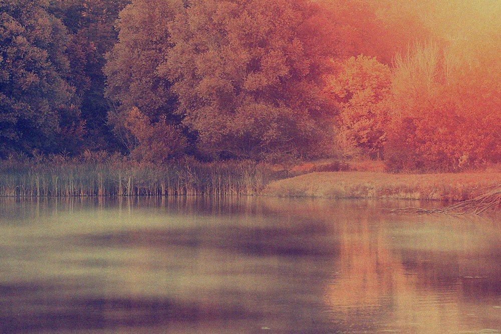 Health Insurance for Expats – Coverage at Home & Abroad